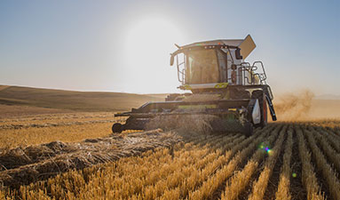 Concours des lycées agricoles 2025/2026